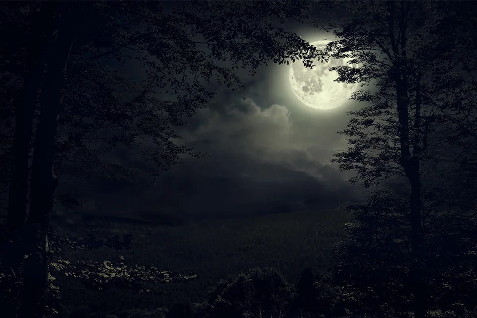 Quand le sens s’effondre